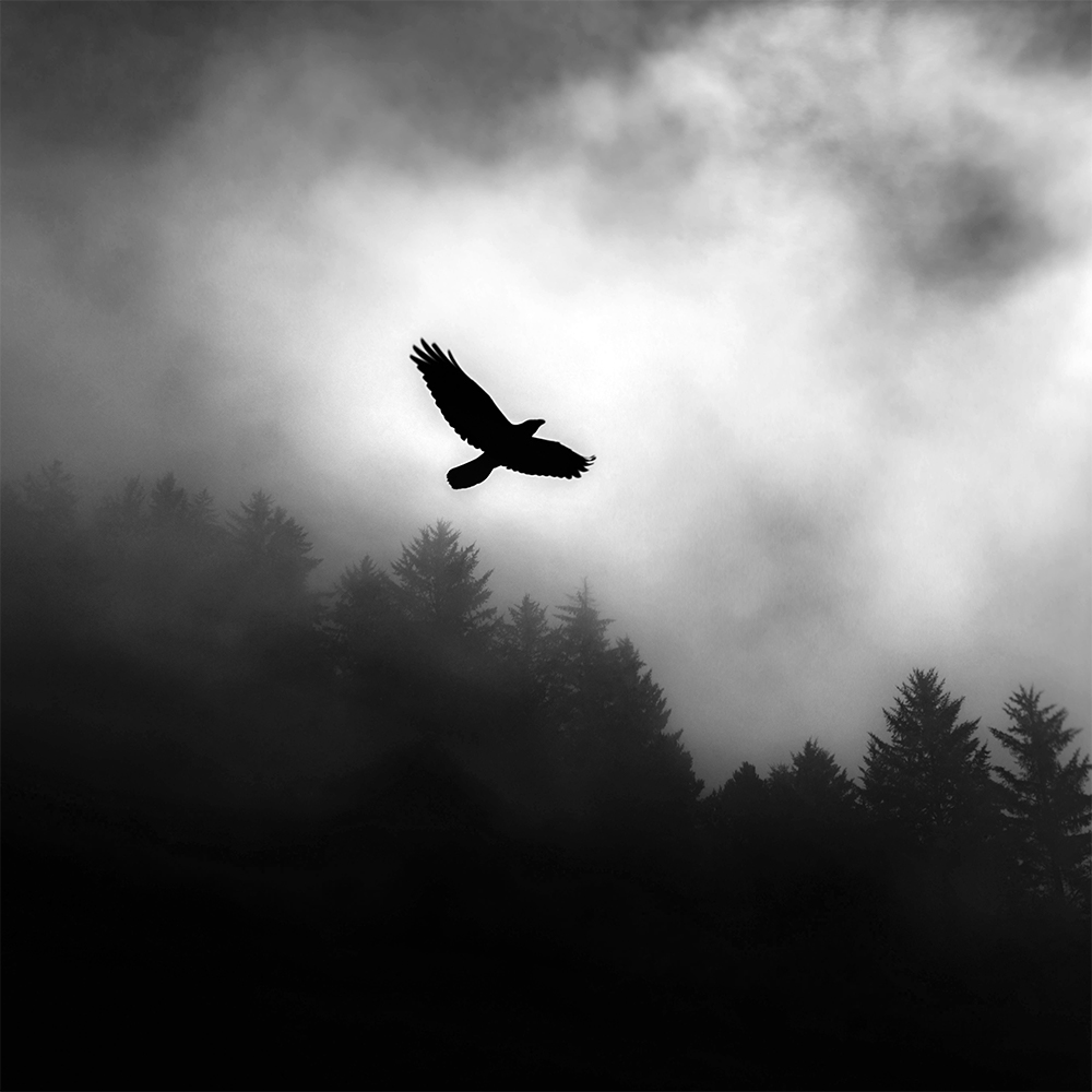 Flying