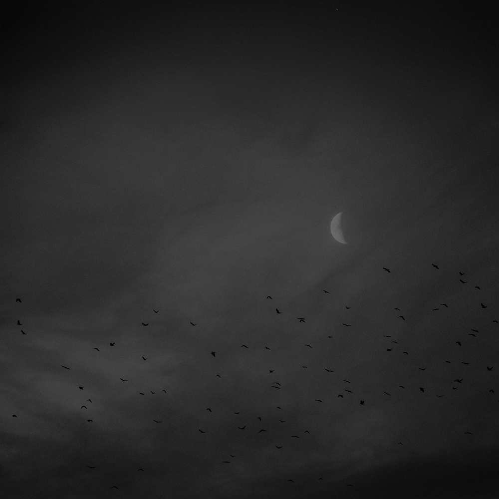 The Space Birds part one