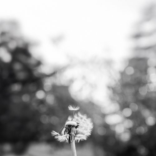 Fragile