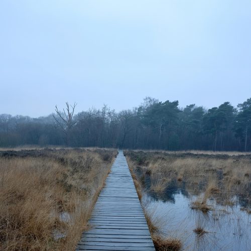 Path