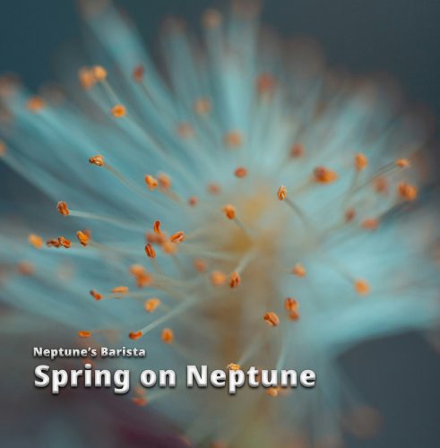 Spring on Neptune (cd of vinyl)