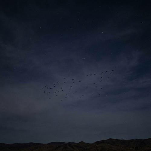 The Space Birds part three