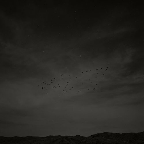 The Space Birds part three
